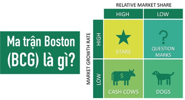 Tìm hiểu về ma trận BCG là gì?